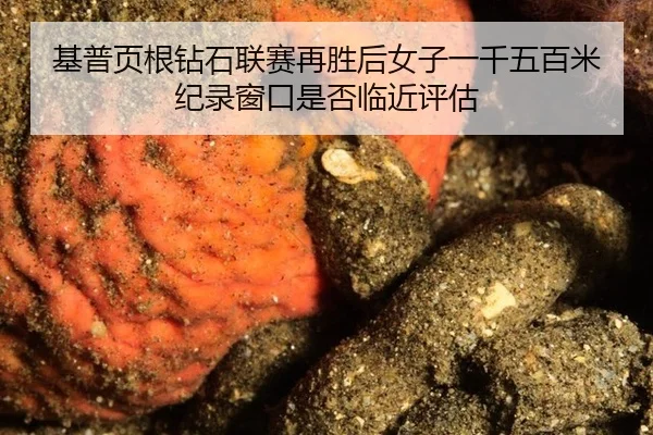 ji-pu-ye-gen-zuan-shi-lian-sai-zai-sheng-hou-nv-zi-yi-qian-wu-bai-mi-ji-lu-chuang-kou-shi-fou-lin-jin-ping-gu-2-257.jpg